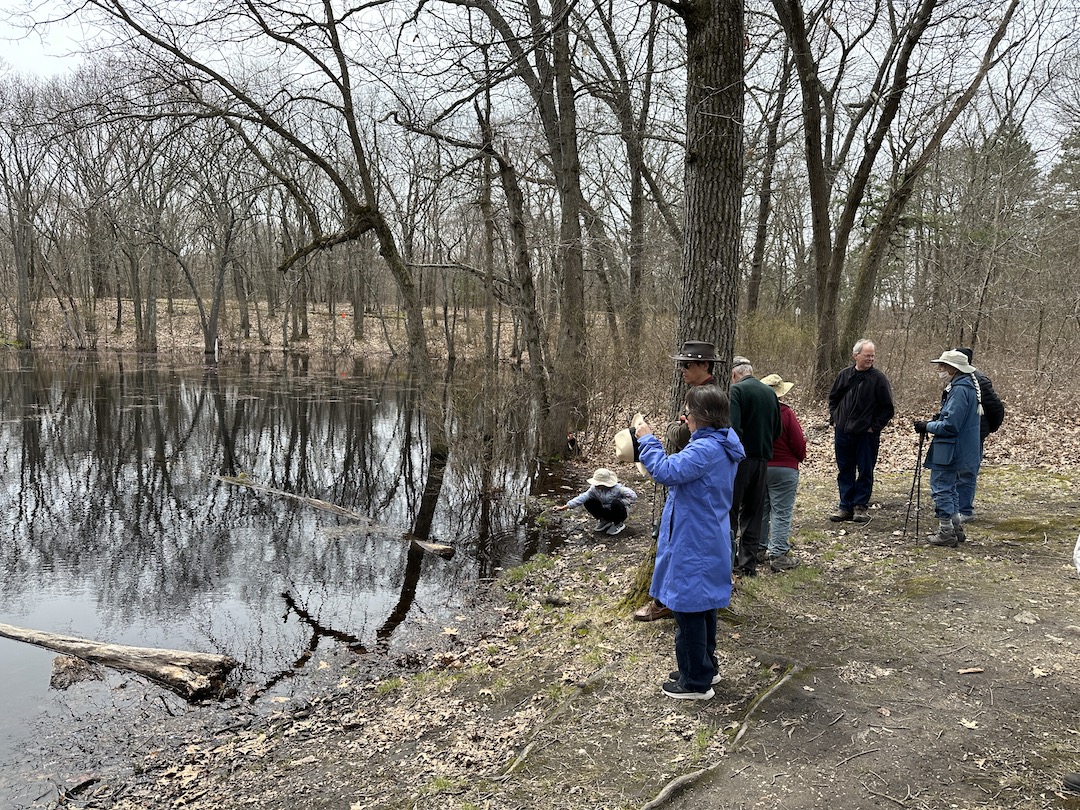 iNaturalist Observation Walk at Whipple Hill