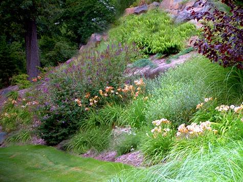 Gardening Beyond the Horizontal Plane - Planted Walls and Inclines with Warren Leach