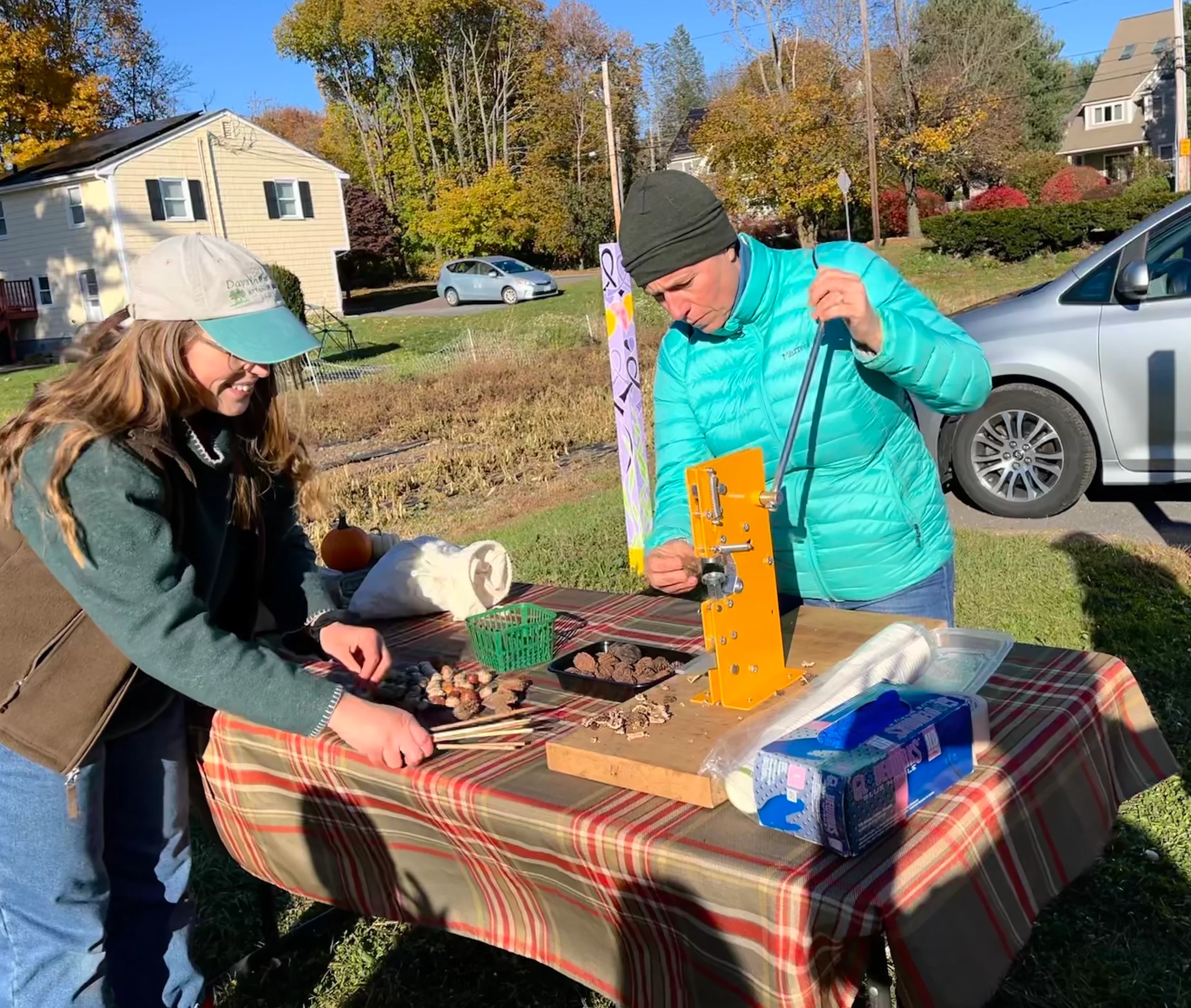 Fall Foraging and Black Walnut Foraging