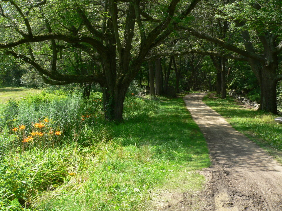 Battle Road P1090874 960x720