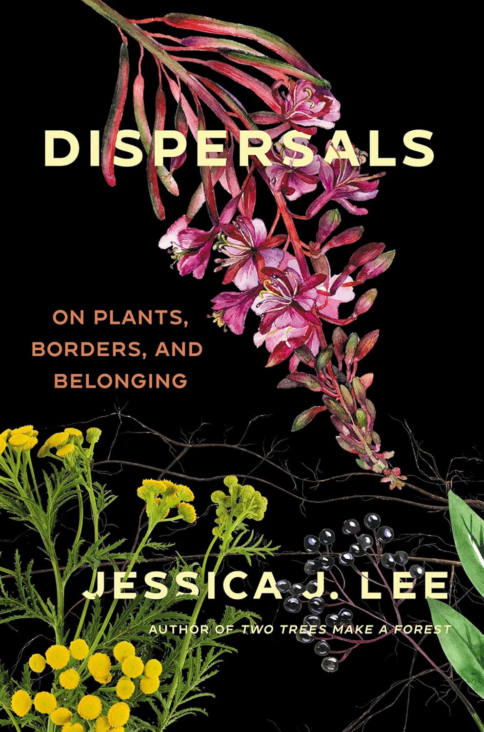 Literary Lunch & Learn: Dispersal (Online Webinar, Tickets Required)