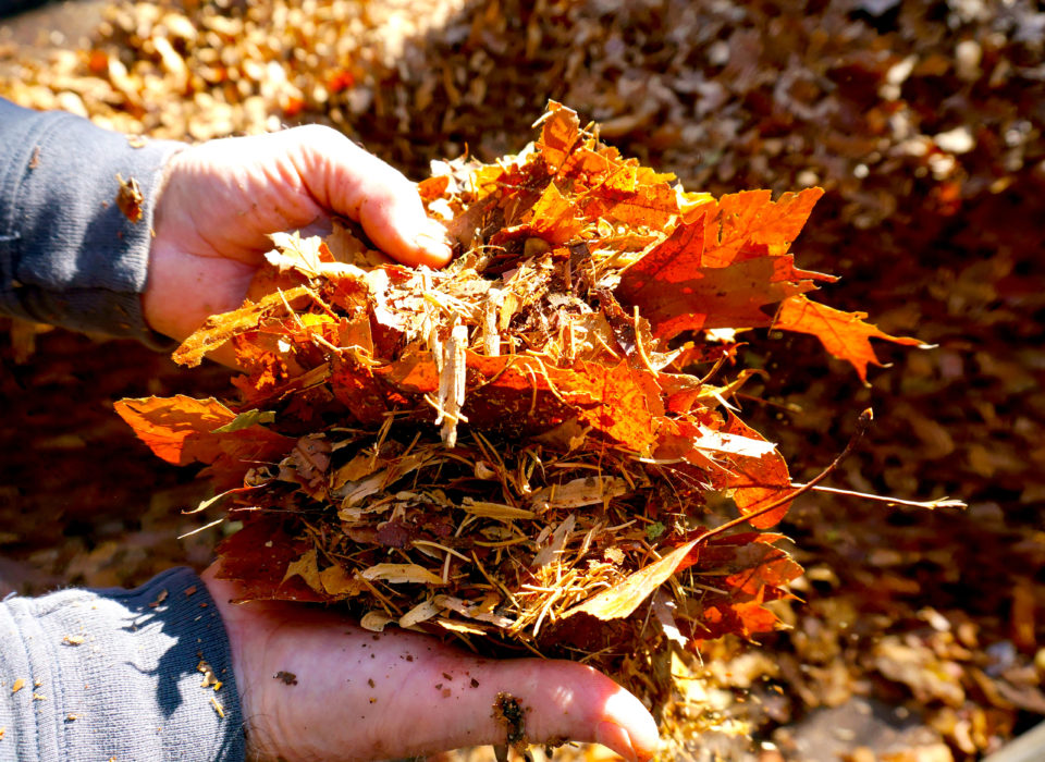 $25 Backyard Composting Webinar - Mount Cuba Center