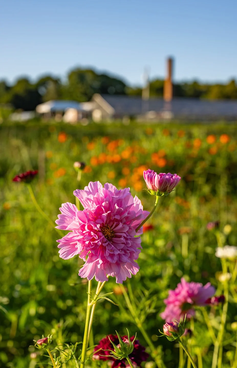Know Your Farmer, Know Your Farm! Farmer-led tour for LexFarm's Members