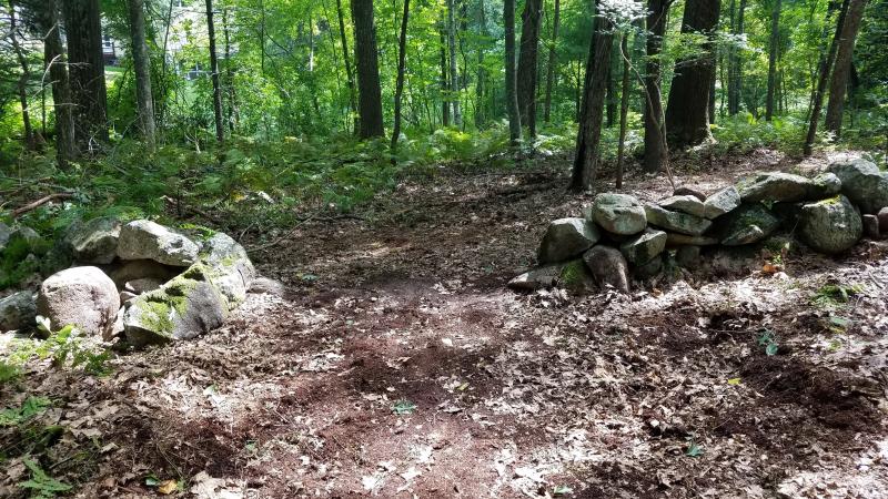 Volunteer to help remove invasive species in Lincoln