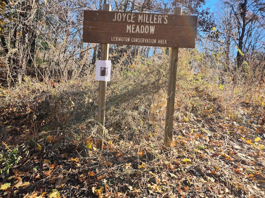 iNaturalist Observation Walk at Joyce Miller Meadow - Citizens for Lexington Conservation