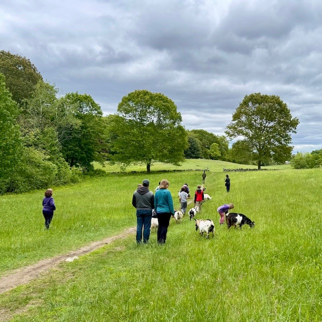 Goat Pasture Walk at Chiesa Farm Sunday - Citizens for Lexington Conservation