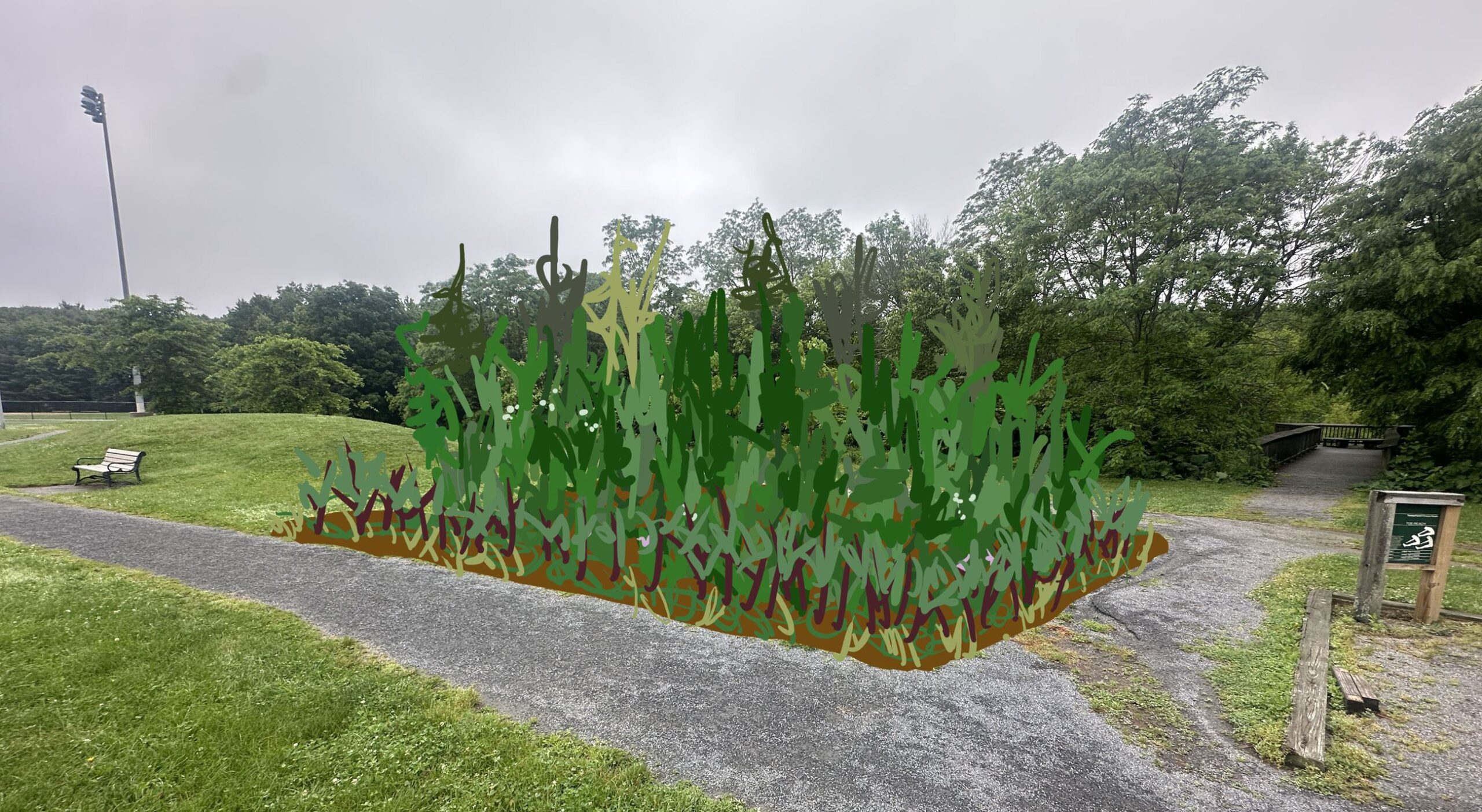 Prepare the site of the Lincoln Pocket Forest!