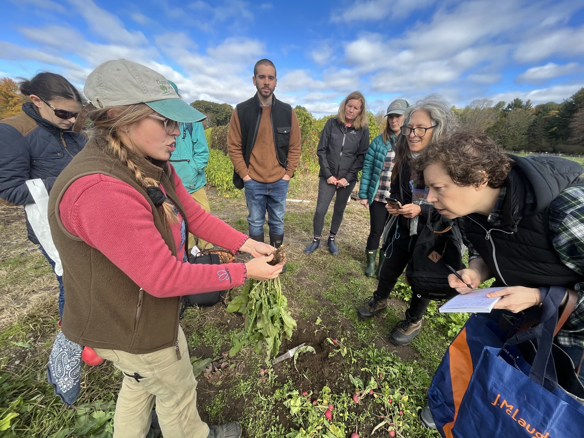 Edible plants – Fall Edition – Citizens for Lexington Conservation