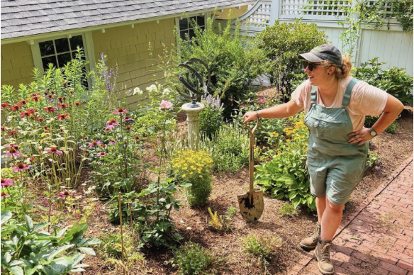 Grow Native Massachusetts - Gardening for Climate Change