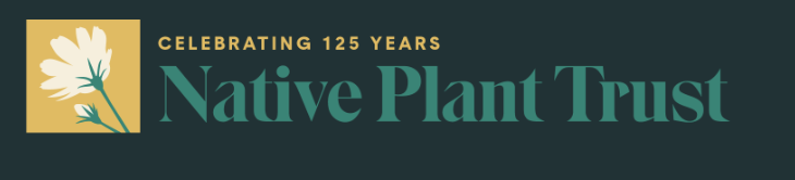 Native Plant Trust Webinar: Leave the Leaves, Save the Stems
