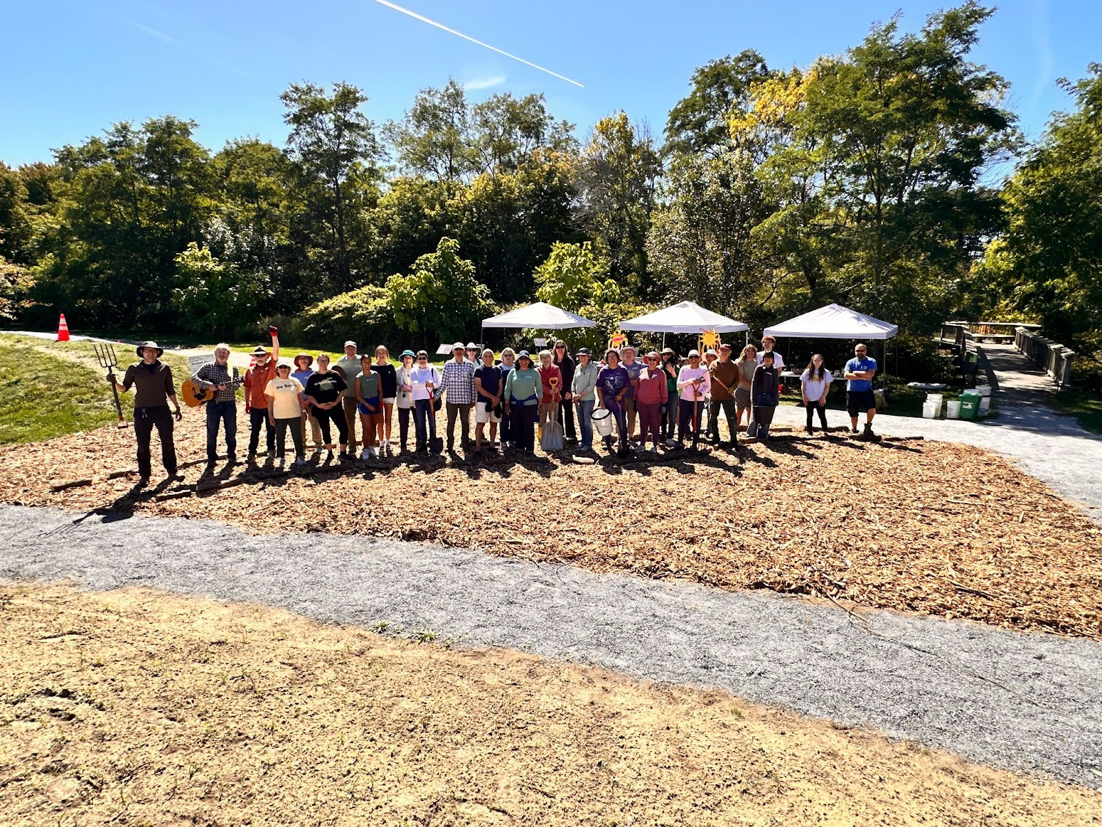 Help Plant a Pocket Forest at Lincoln Park