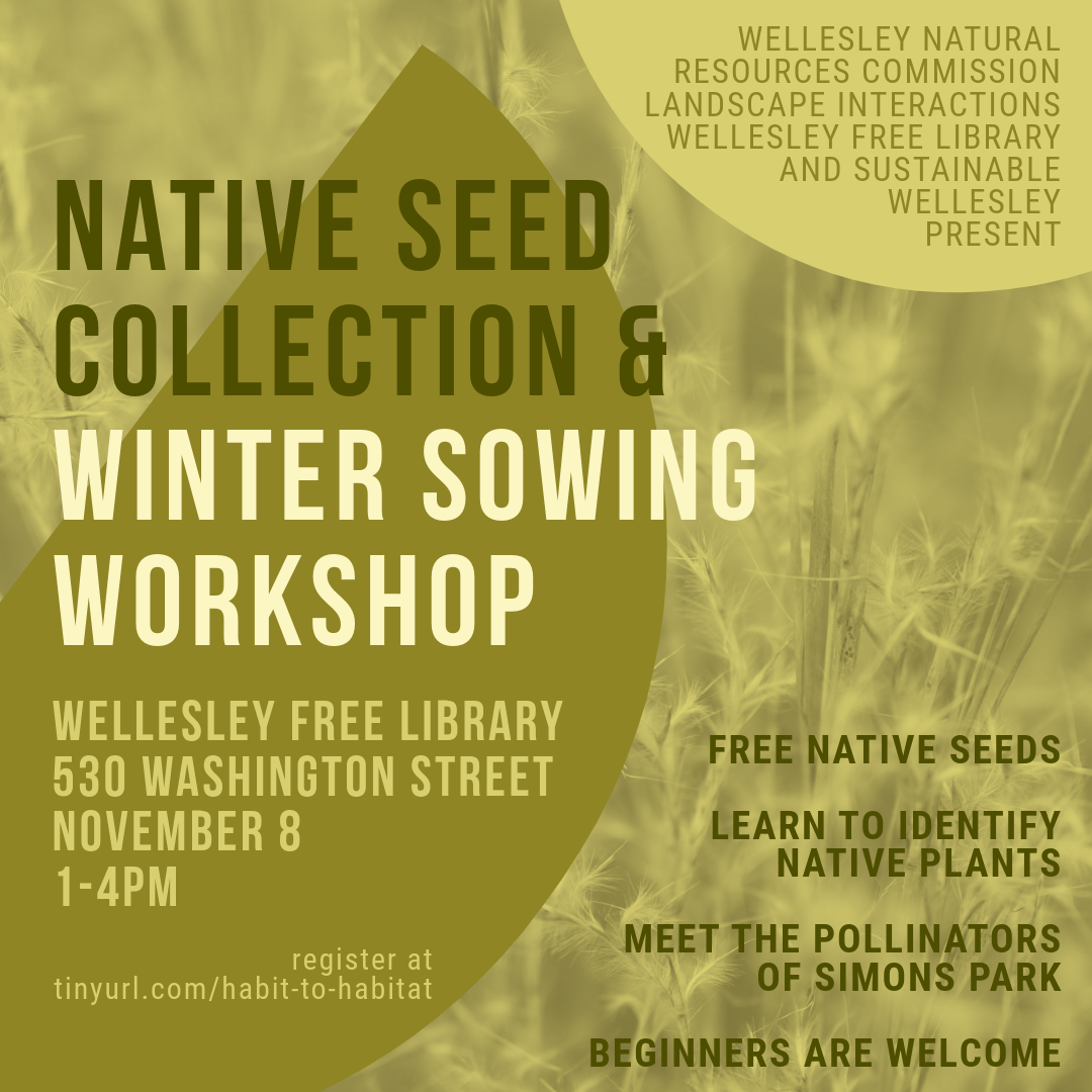 Native Seed Collection and Winter Sowing Workshop
