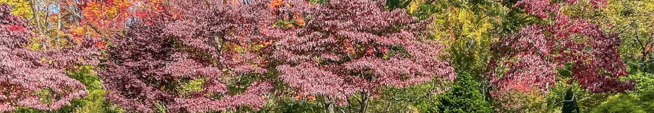 Lexington Garden Club Event: Redesigning the Future of Plastic Plant Containers with Marie Chieppo