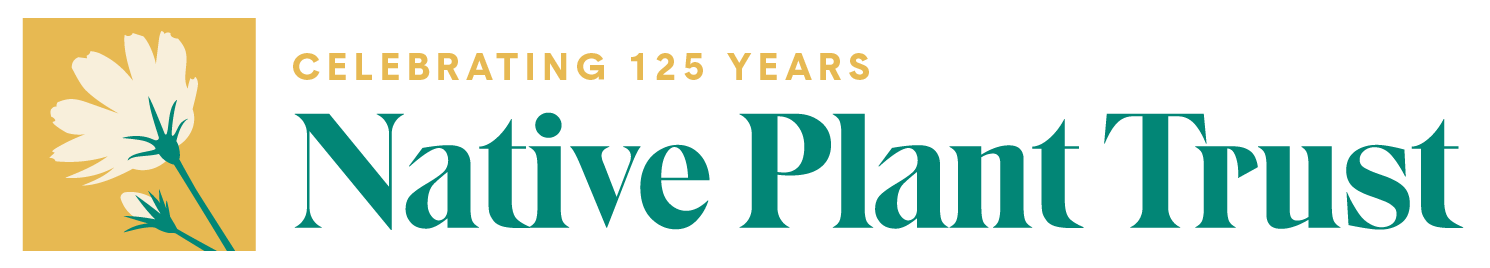Native Plant Trust $25 Webinar: So You Want Less Lawn…