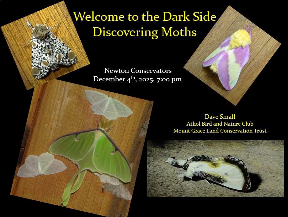 Athol Bird and Nature Club Webinar: Welcome to the Dark Side: Discovering Moths
