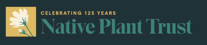 Native Plant Trust Webinar: Intro to Stormwater Management