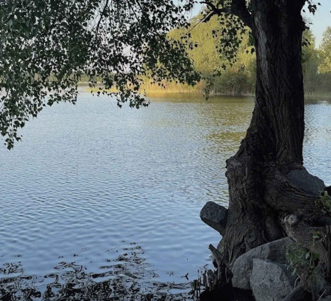 MetroWest Climate Solutions Informational Event: Dumping More Sewage into the Charles? Just Say No!
