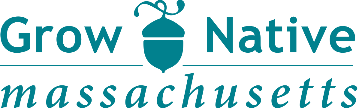 Grow Native Massachusetts Webinar: Bats in Massachusetts and How You Can Help Them