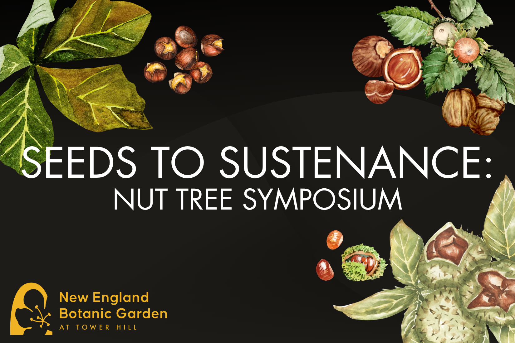 New England Botanical Garden at Tower Hill: Seeds to Sustenance: Nut Tree Symposium