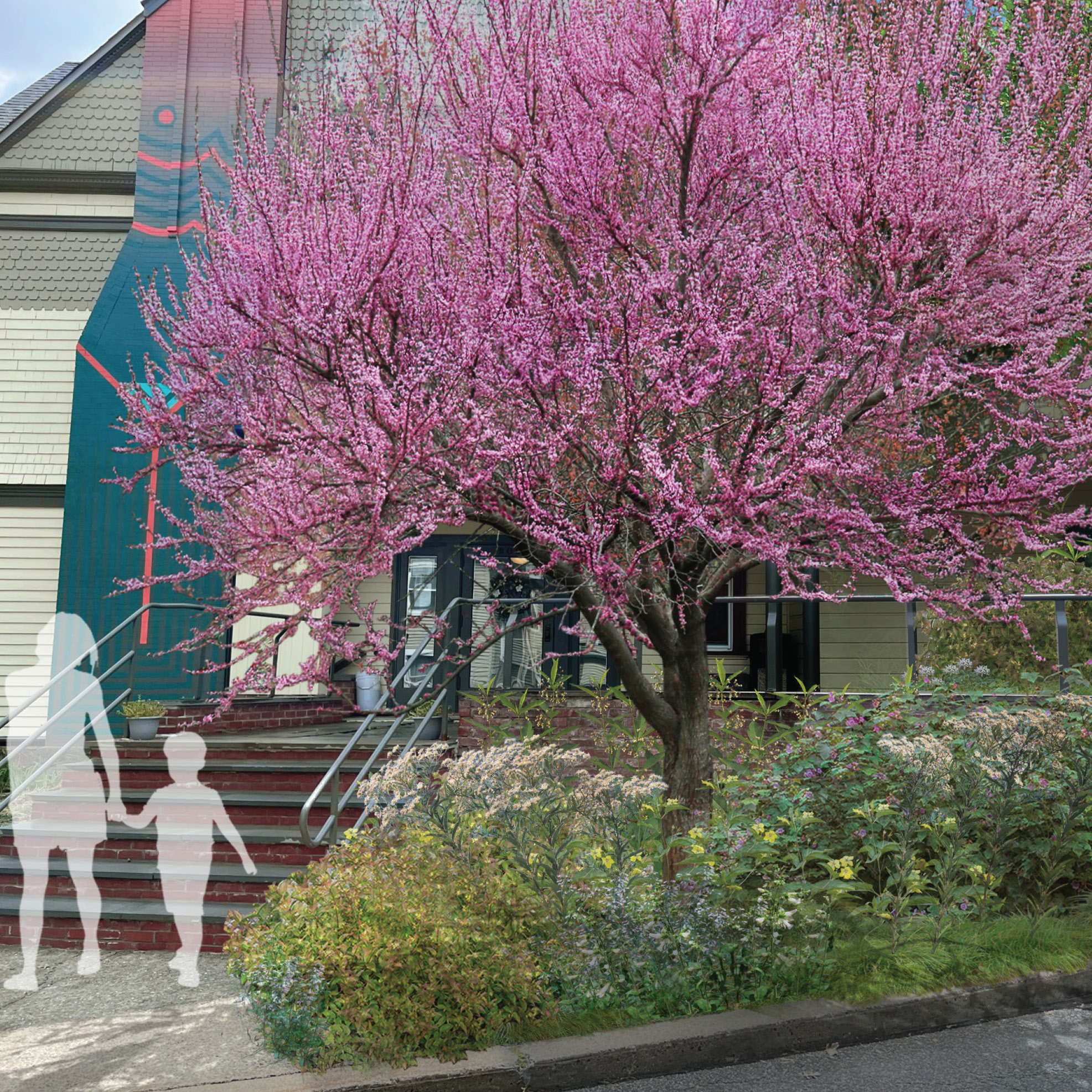 Middlesex Conservation District Presentation: Healthy Soil through Maximum Biodiversity: Replicable Models for Resilient Design with Evan Abramson