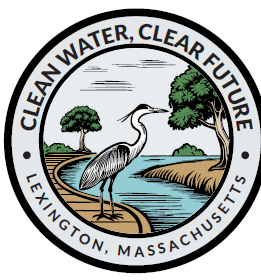 Managing Stormwater in Lexington - Virtual Event with Cary Library and Lexington Living Landscapes