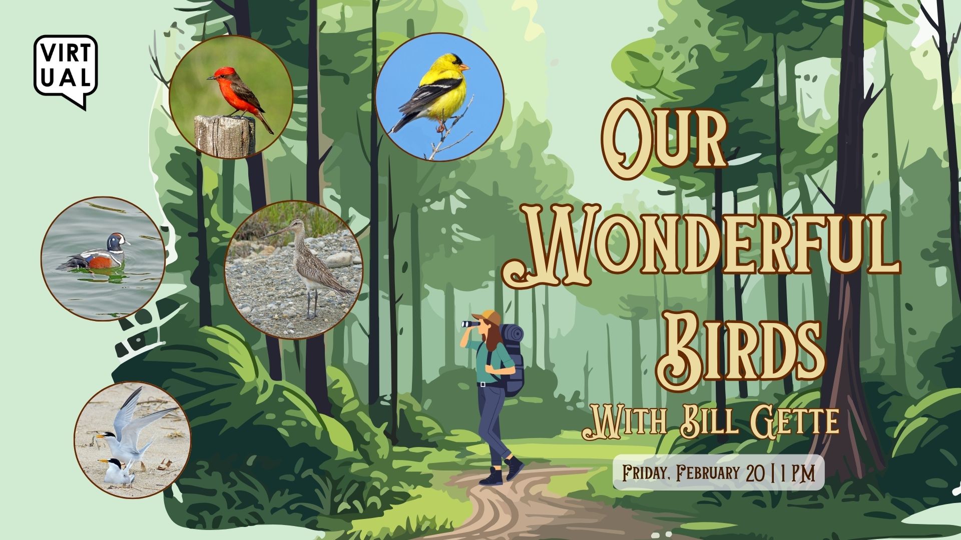 Cary Library Virtual Talk: Our Wonderful Birds with Bill Gette