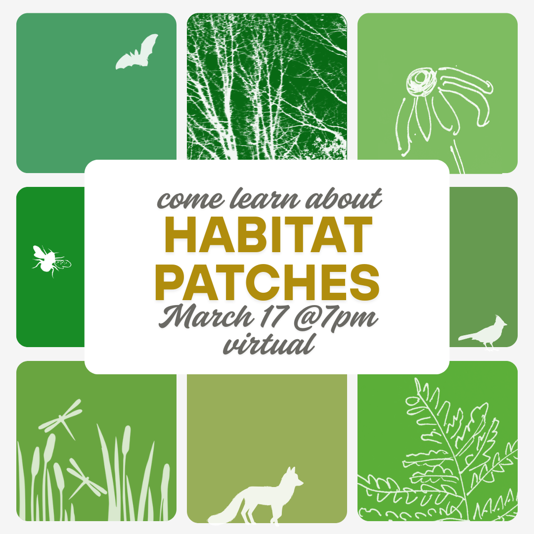 Habitat Patches - Info Session
