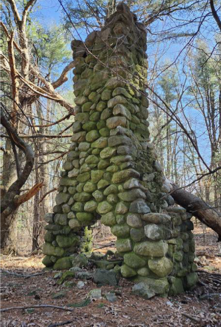 Citizens for Lexington Conservation (CLC)  2026 Annual Meeting: A Virtual Journey Through Historic Willard's Woods