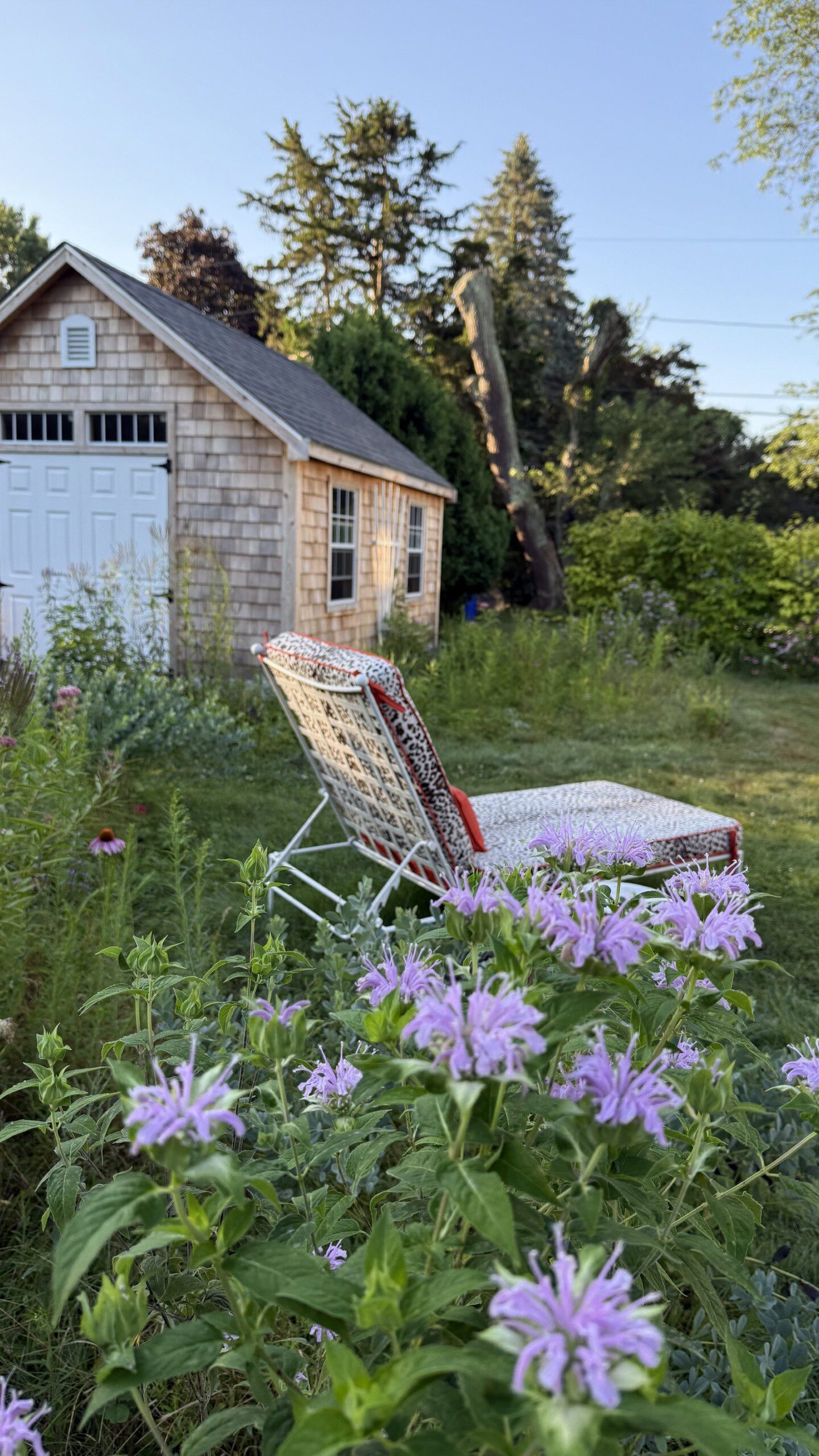 Cornell Lab Webinar: Designing Gardens for Birds