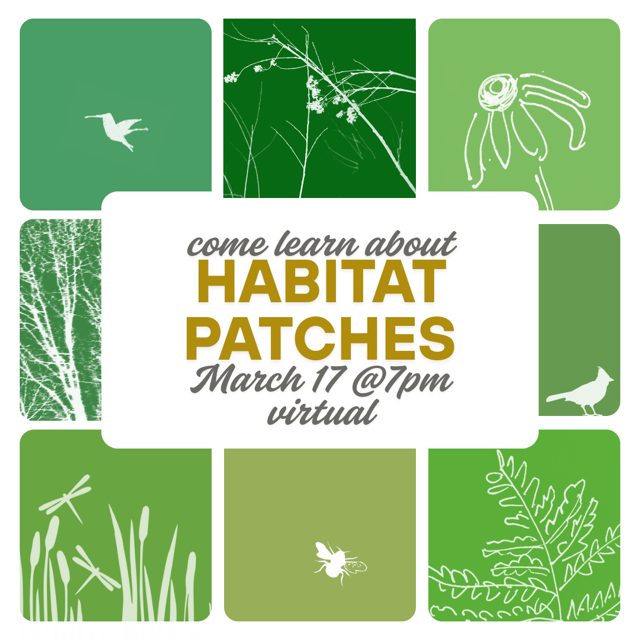 Habitat Patches - Info Session