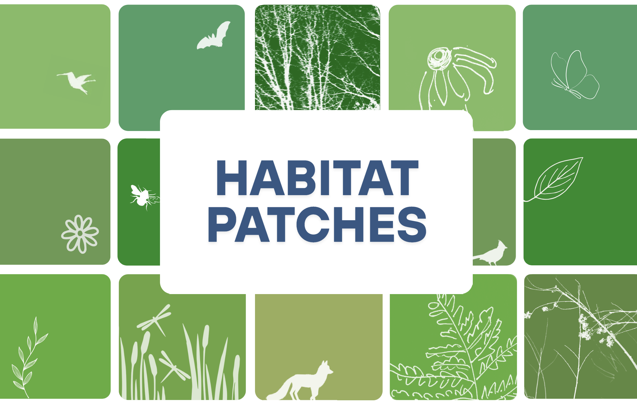 Order a Habitat Patch Kit by April 4
