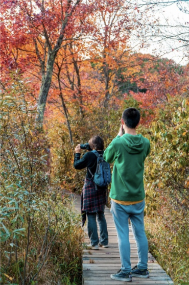 iNaturalist observation walk at Paint Mine
