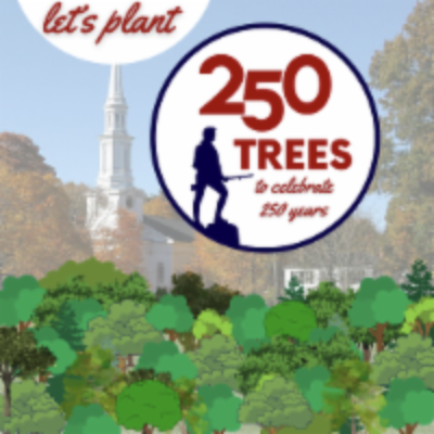 Order a Free Tree by April 18