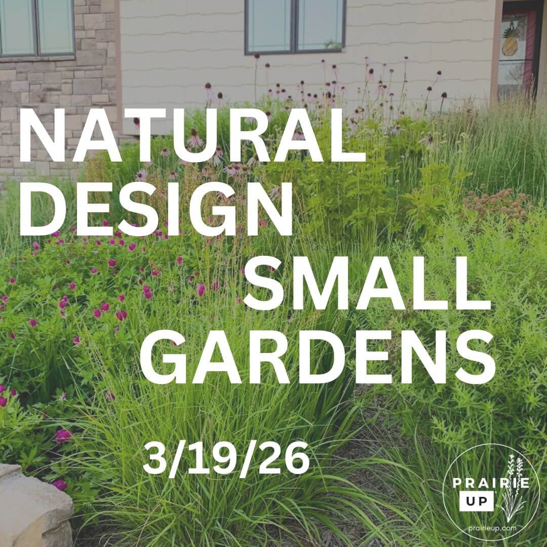 Prairie Up Webinar: Natural Design for Small Gardens