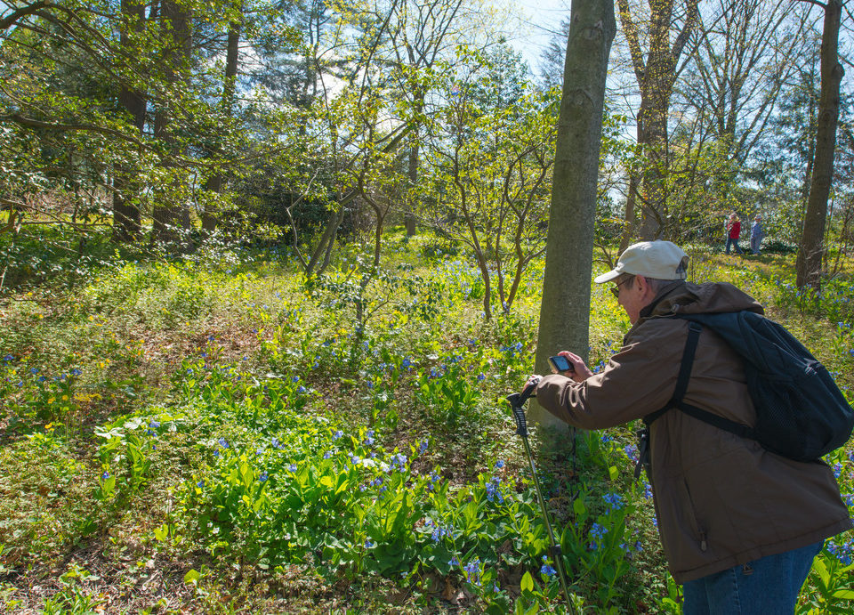 Mt. Cuba Center: Botanizing: The Best Hobby You’ve Never Heard of (Online)