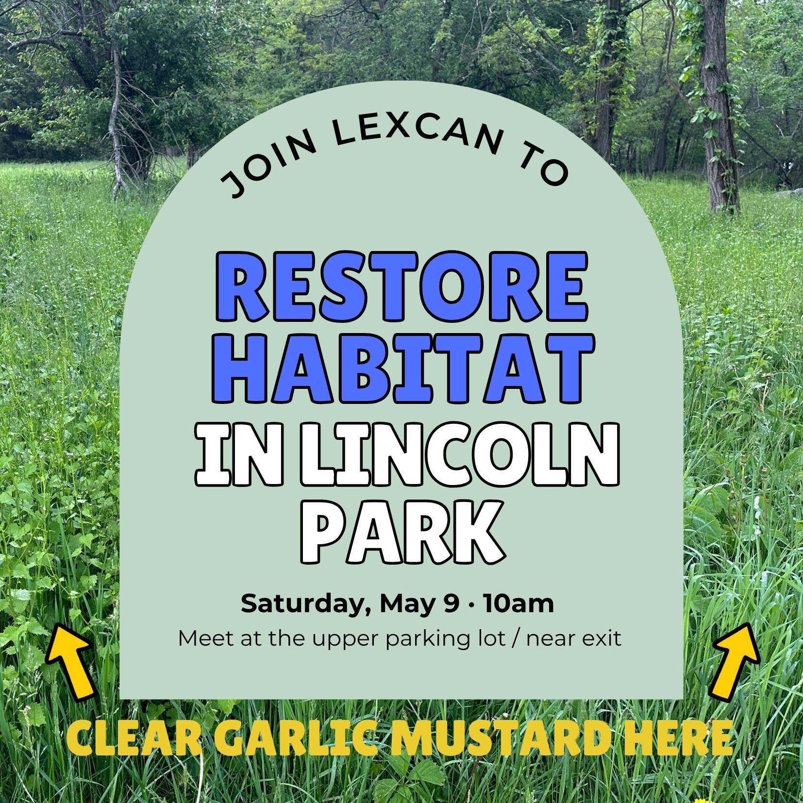 LexCAN Event: Garlic Mustard Pull at Lincoln Park