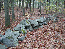 Geology and More at Whipple Hill