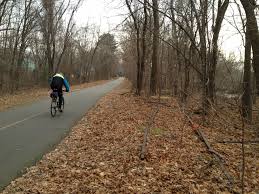 Bikeway Cleanup & Garlic Mustard Pull