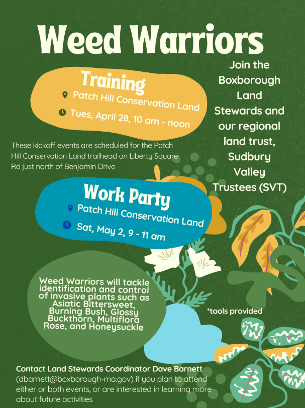 Weed Warrior Training at Patch Hill Conservation Land