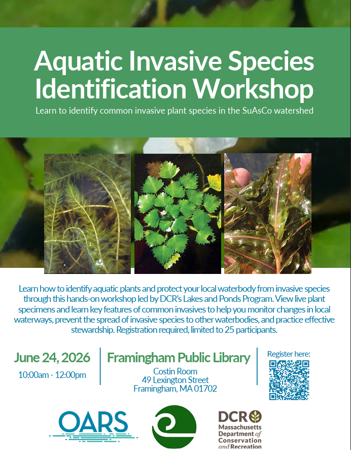 DCR Lakes and Ponds: Aquatic Invasive Species Identification Workshop