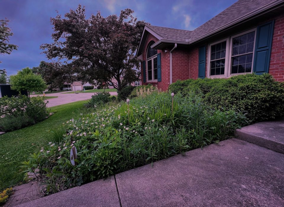 Mt. Cuba Center $25 Webinar: Growing A Moon Garden with Native Plants
