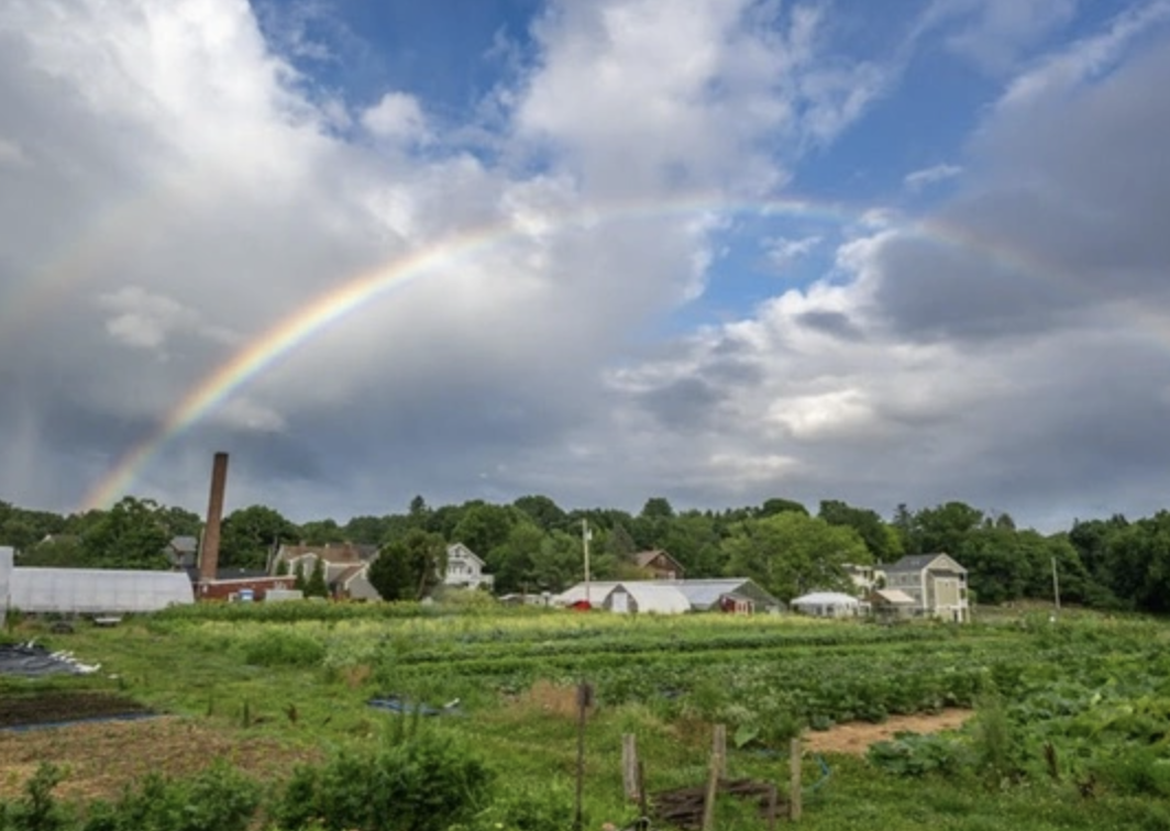 LexFarm: Walking Wednesday