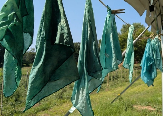 $30 Learning at LexFarm: Fun with Fresh Indigo