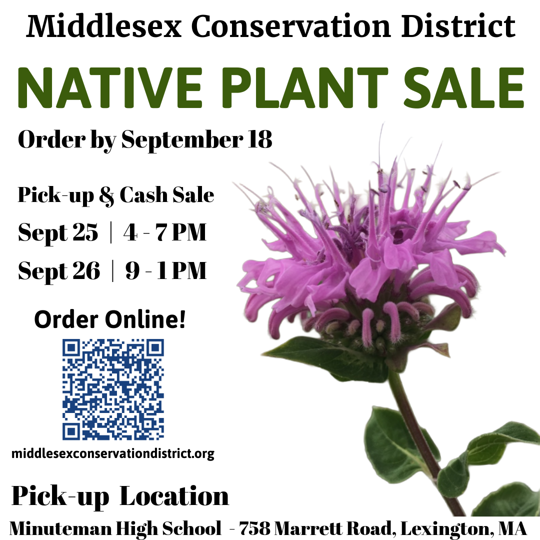 Order Plants for the 2026 Fall Plant Sale