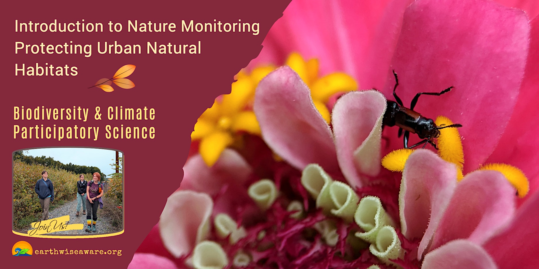 Somerville Community Growing Center: Introduction to Nature Monitoring in the City