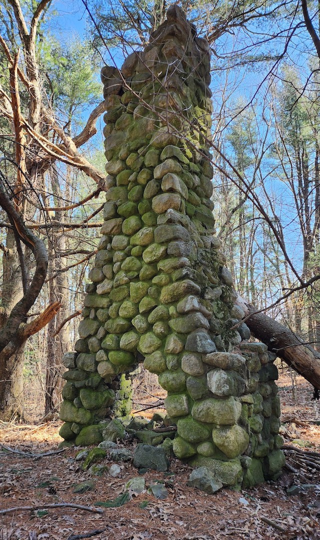 Willard’s Woods: A Brief Journey Through 12,000 years of a cultural landscape