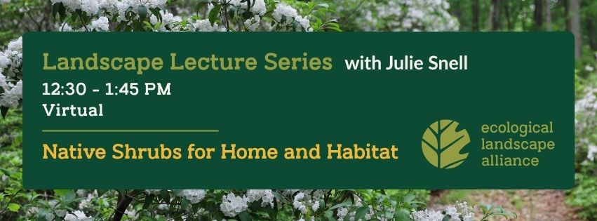Ecological Landscaping Alliance Webinar: Native Shrubs for Home and Habitat