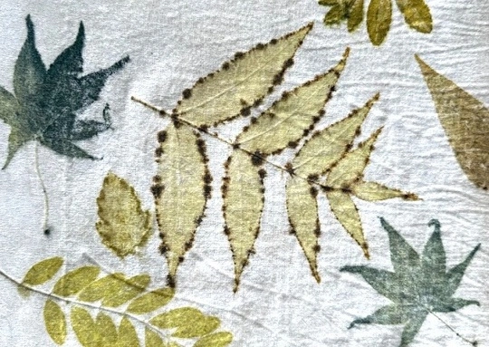 Lexington Community Farm: Eco-print a Silk Scarf
