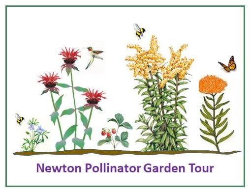 Fourth Annual Newton Pollinator Garden Tour