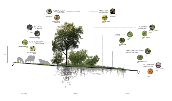 MAPN Webinar: Healthy Soil through Maximum Biodiversity: Replicable Models for Resilience